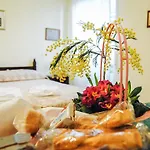 Ianus Guest house 4*